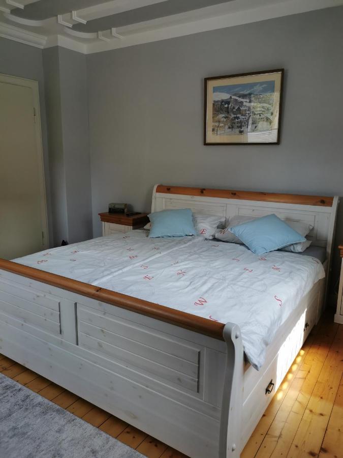 Ferienwohnung In Waldrandlage In Nationalpark Schleiden / Eifel ภายนอก รูปภาพ