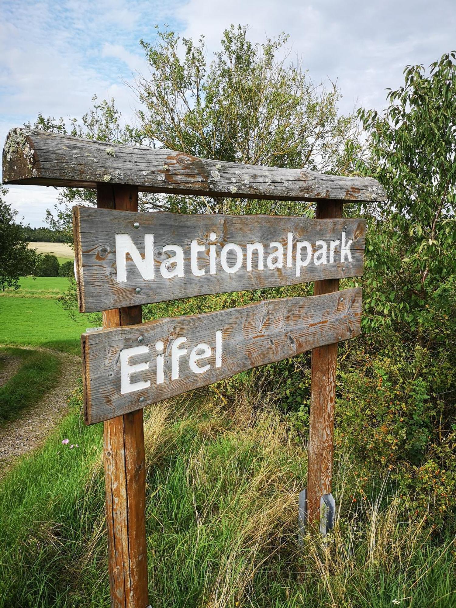 Ferienwohnung In Waldrandlage In Nationalpark Schleiden / Eifel ภายนอก รูปภาพ
