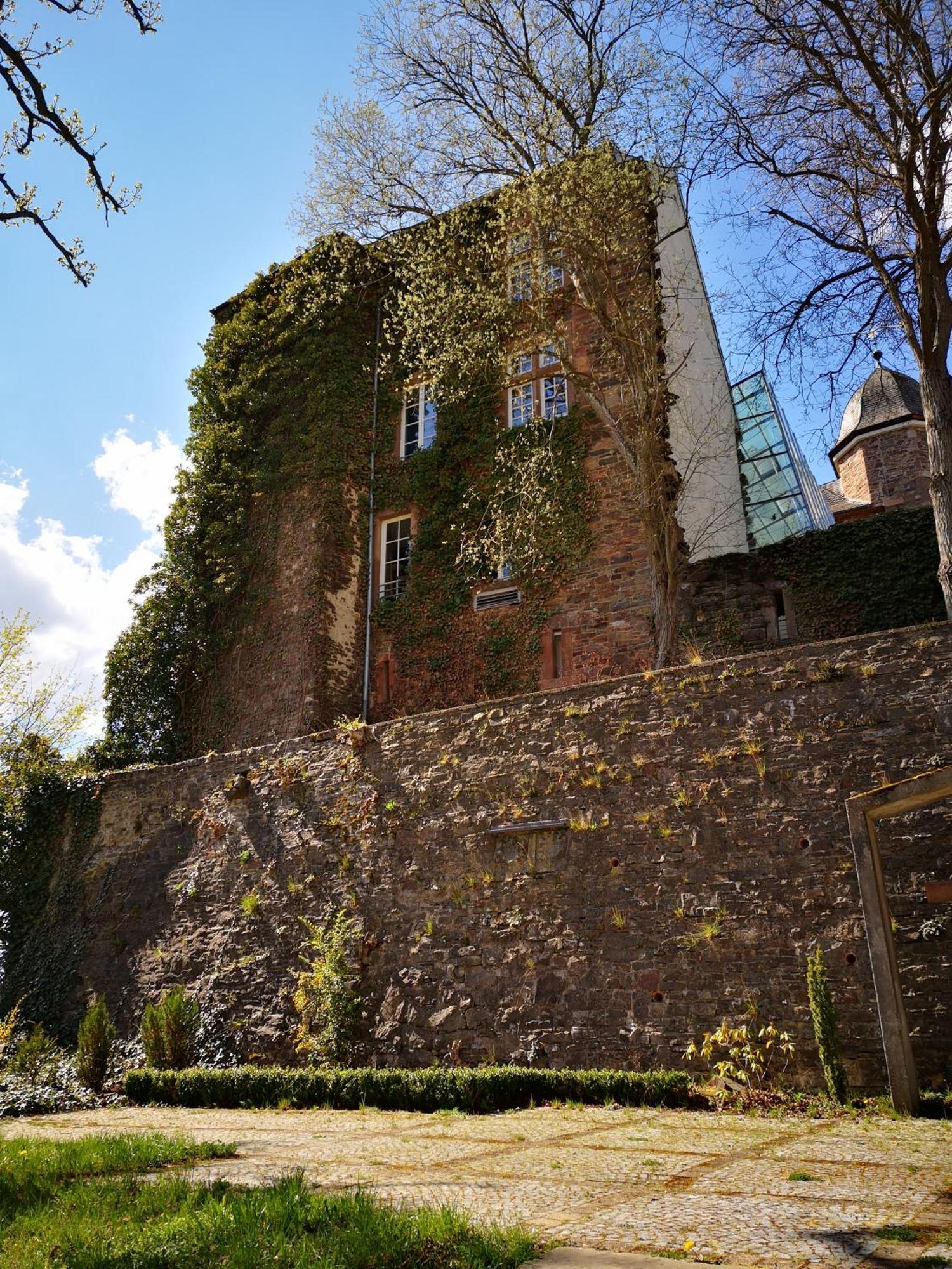 Ferienwohnung In Waldrandlage In Nationalpark Schleiden / Eifel ภายนอก รูปภาพ