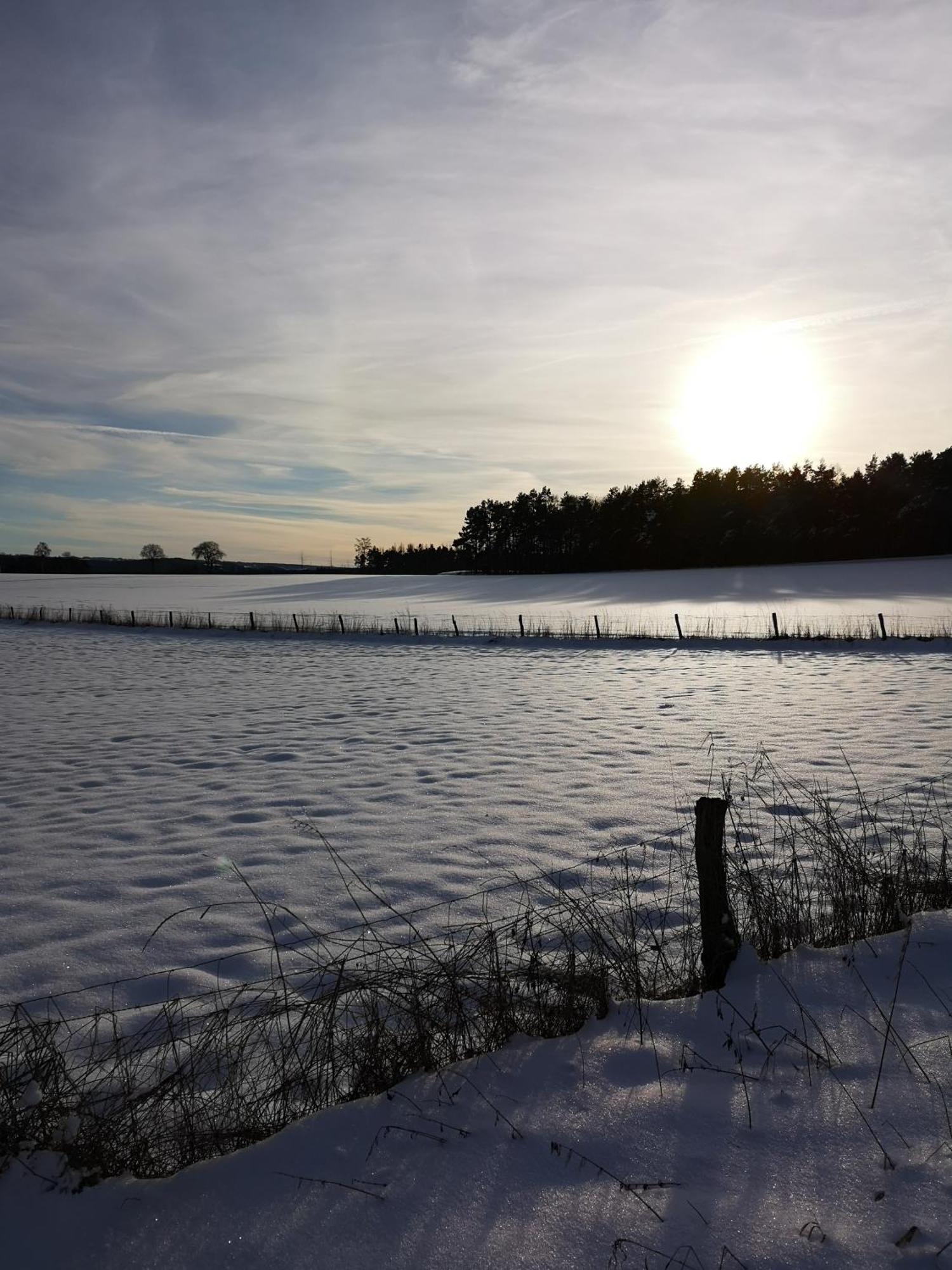 Ferienwohnung In Waldrandlage In Nationalpark Schleiden / Eifel ภายนอก รูปภาพ