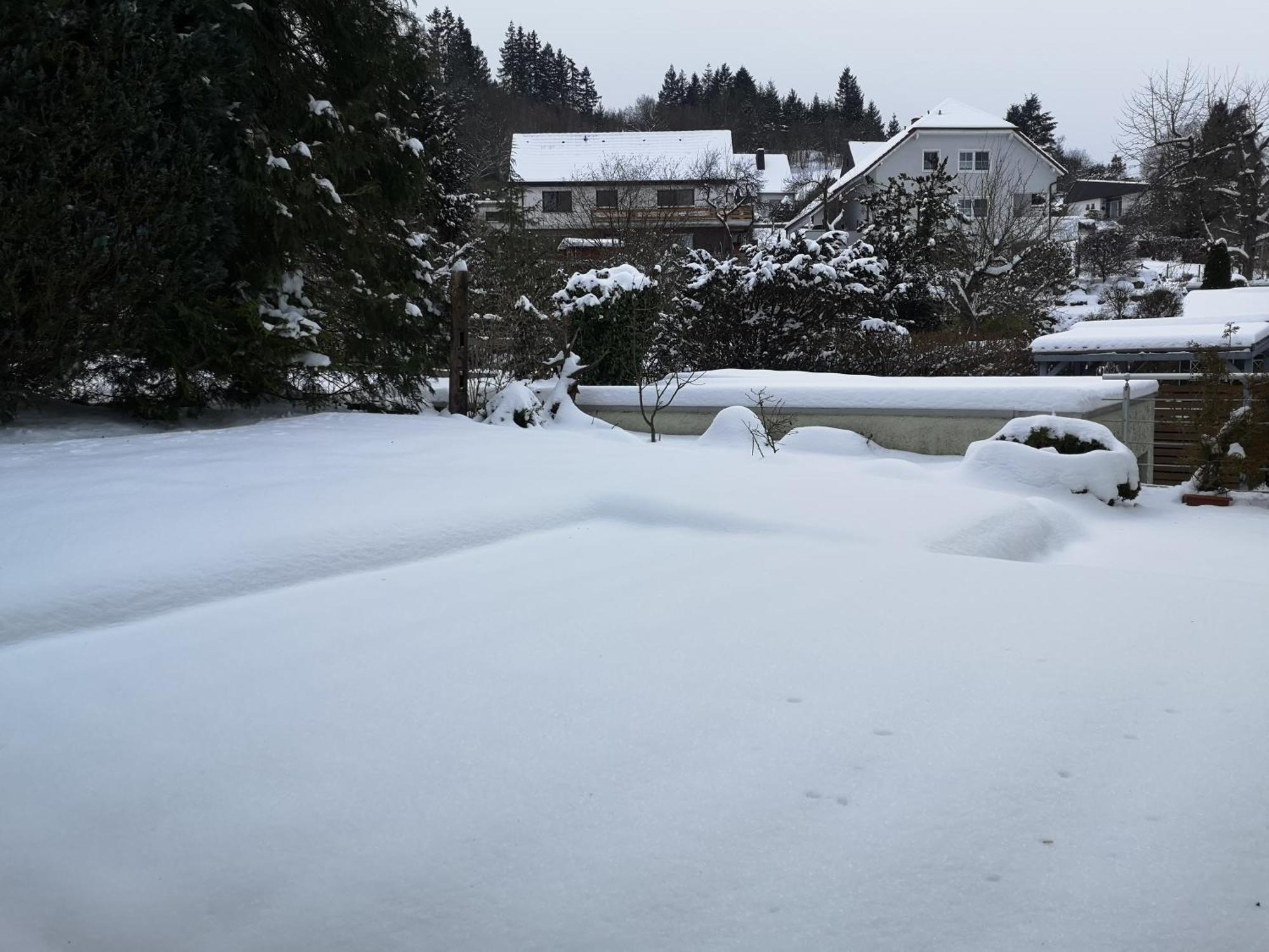 Ferienwohnung In Waldrandlage In Nationalpark Schleiden / Eifel ภายนอก รูปภาพ