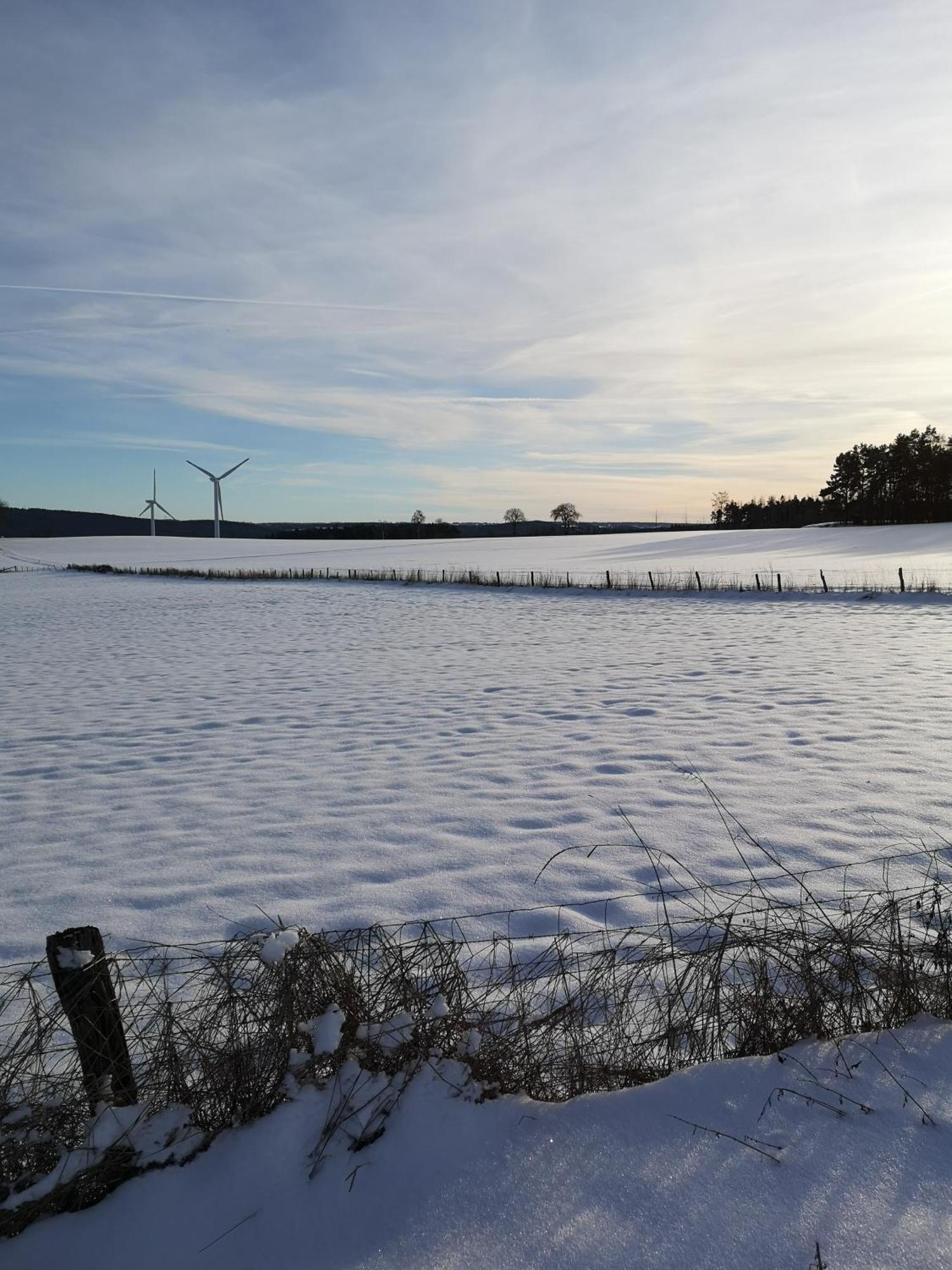 Ferienwohnung In Waldrandlage In Nationalpark Schleiden / Eifel ภายนอก รูปภาพ