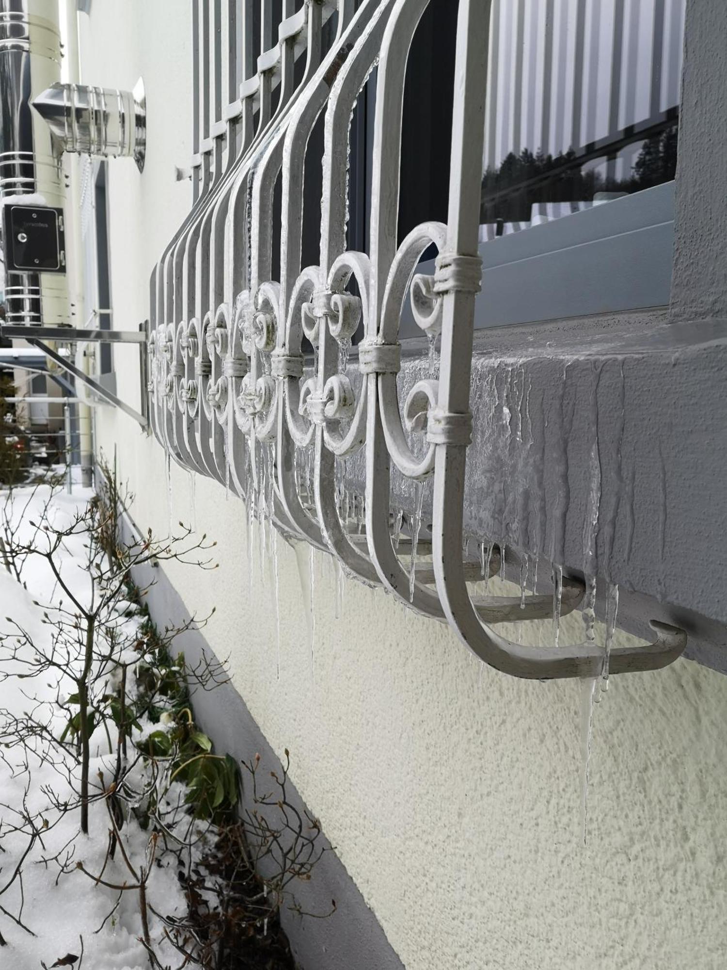 Ferienwohnung In Waldrandlage In Nationalpark Schleiden / Eifel ภายนอก รูปภาพ