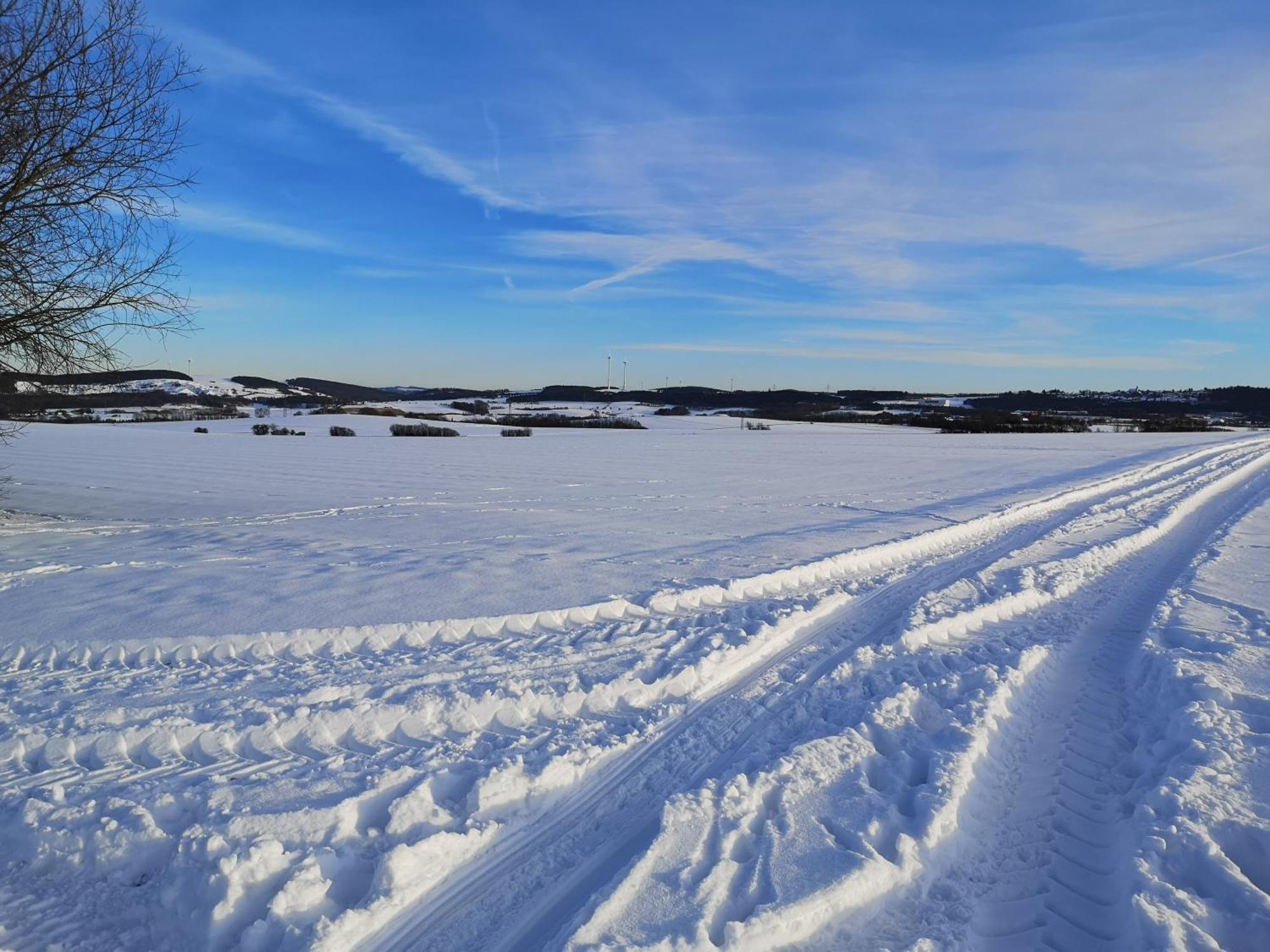 Ferienwohnung In Waldrandlage In Nationalpark Schleiden / Eifel ภายนอก รูปภาพ