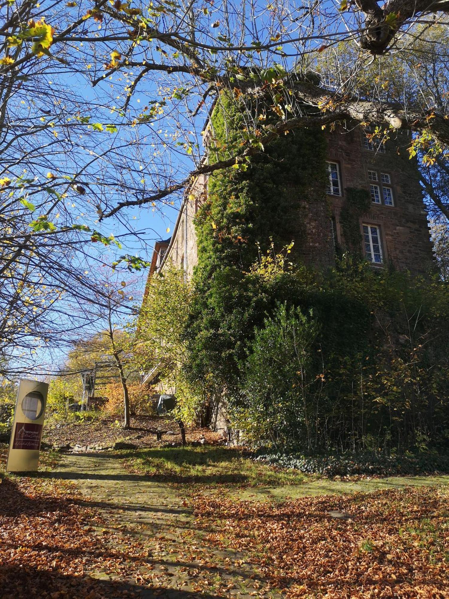Ferienwohnung In Waldrandlage In Nationalpark Schleiden / Eifel ภายนอก รูปภาพ