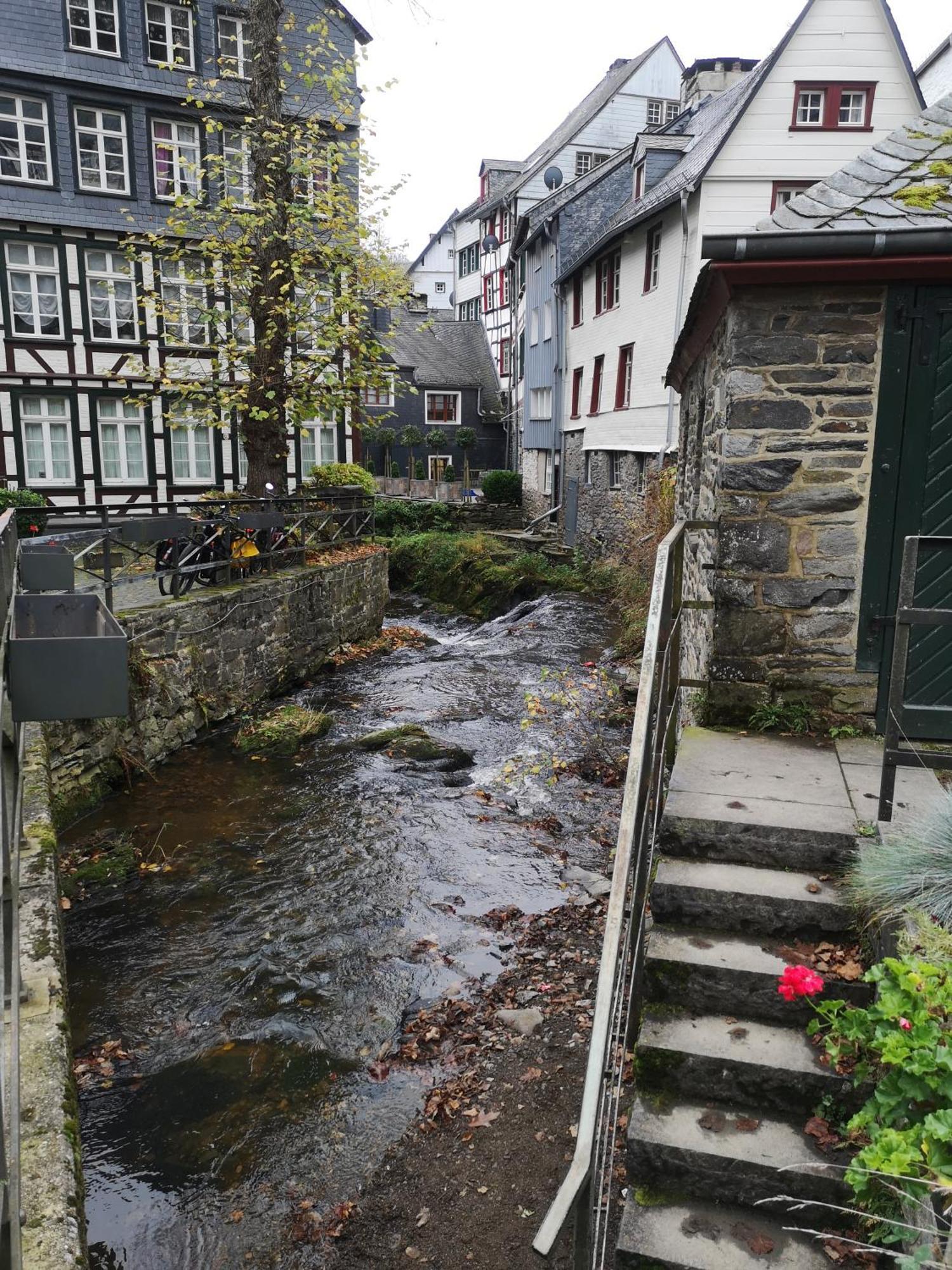 Ferienwohnung In Waldrandlage In Nationalpark Schleiden / Eifel ภายนอก รูปภาพ