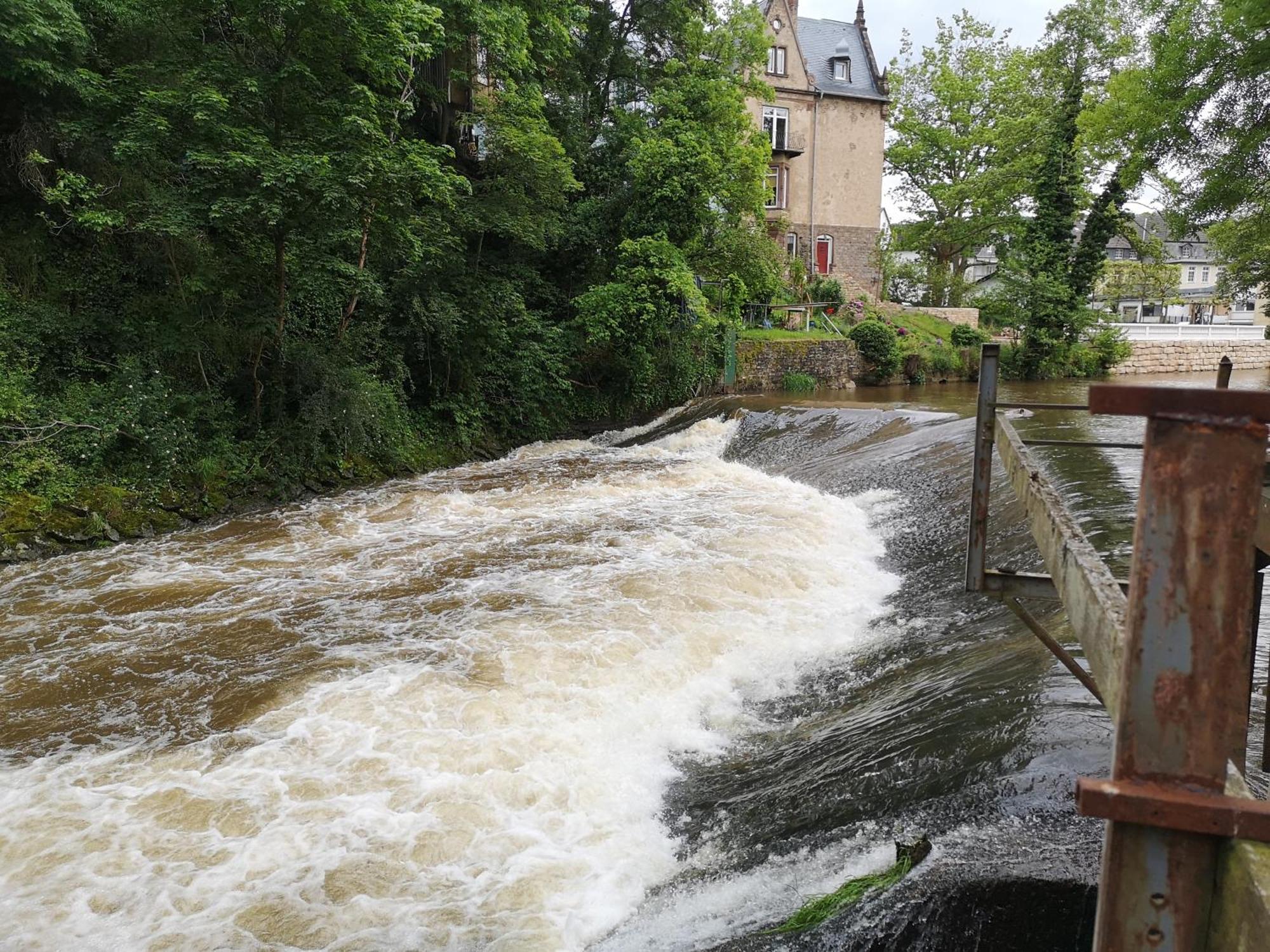 Ferienwohnung In Waldrandlage In Nationalpark Schleiden / Eifel ภายนอก รูปภาพ