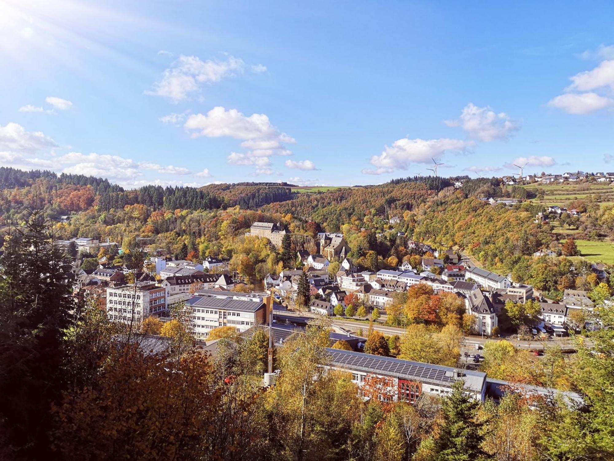 Ferienwohnung In Waldrandlage In Nationalpark Schleiden / Eifel ภายนอก รูปภาพ
