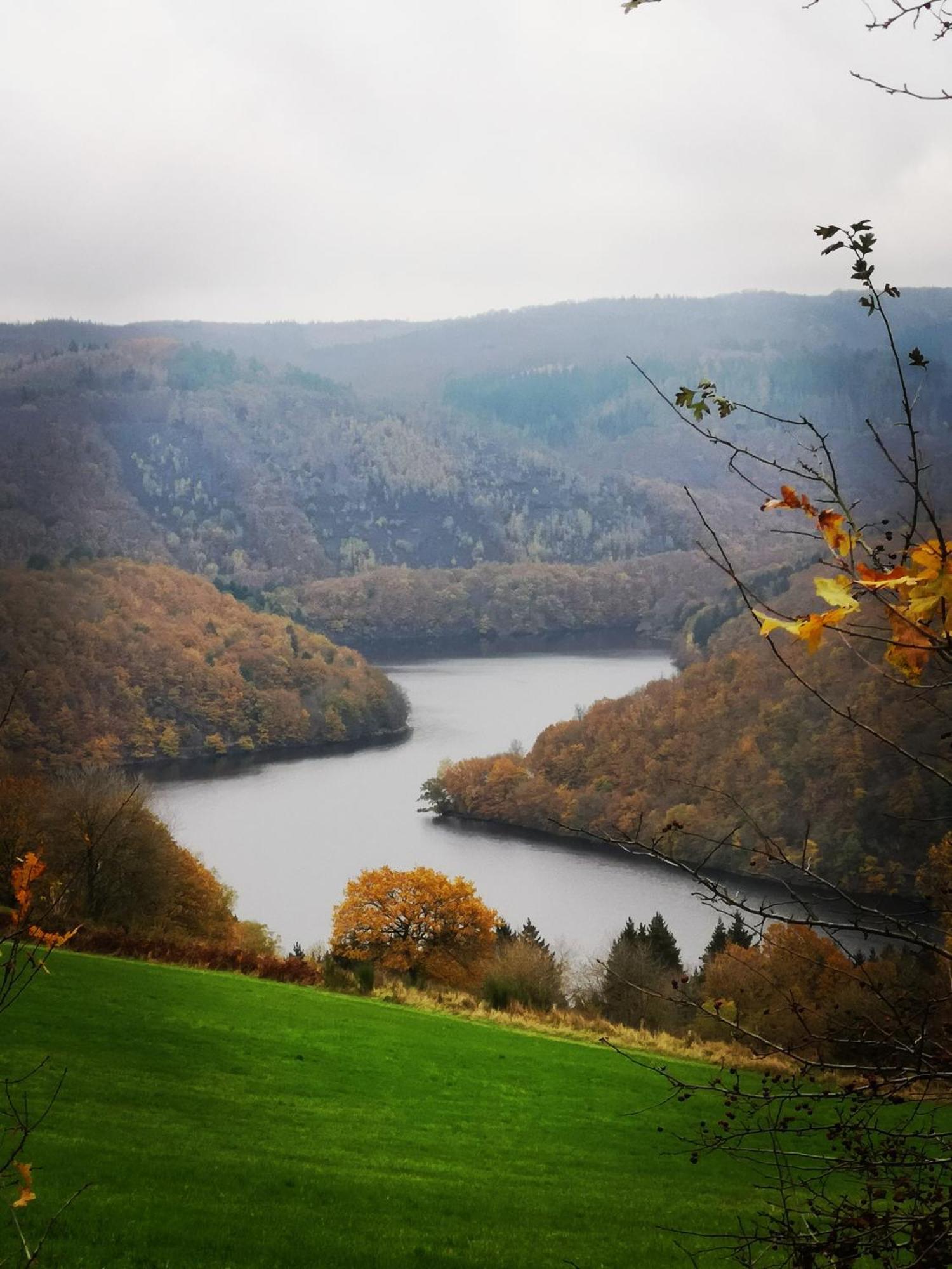 Ferienwohnung In Waldrandlage In Nationalpark Schleiden / Eifel ภายนอก รูปภาพ