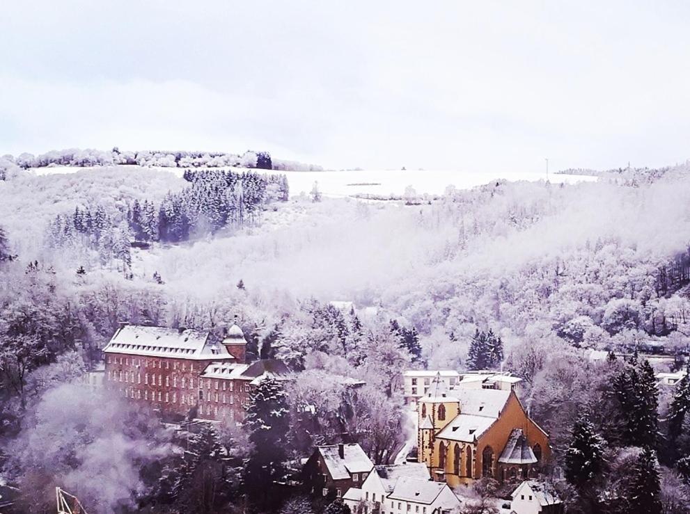 Ferienwohnung In Waldrandlage In Nationalpark Schleiden / Eifel ภายนอก รูปภาพ