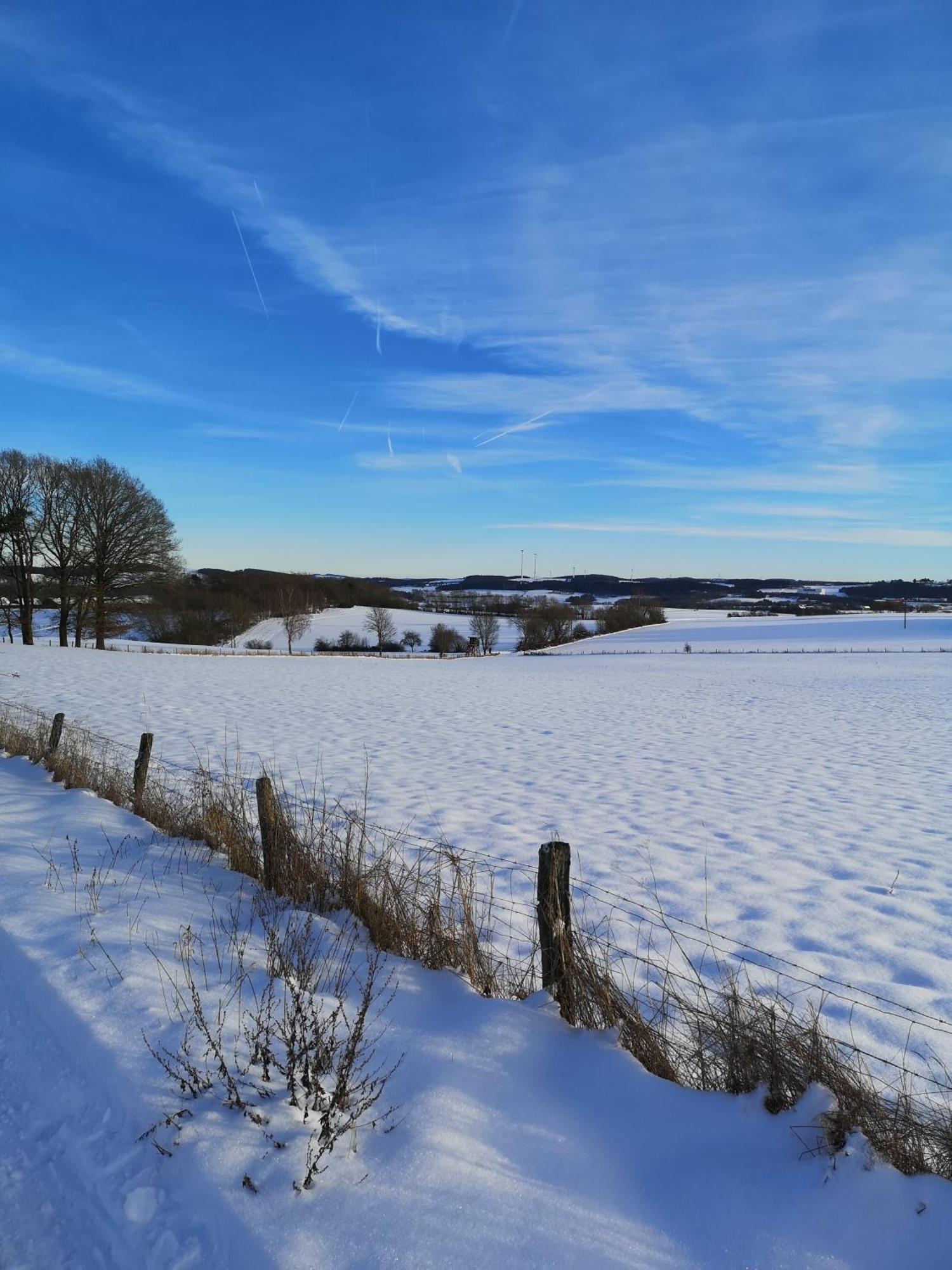 Ferienwohnung In Waldrandlage In Nationalpark Schleiden / Eifel ภายนอก รูปภาพ